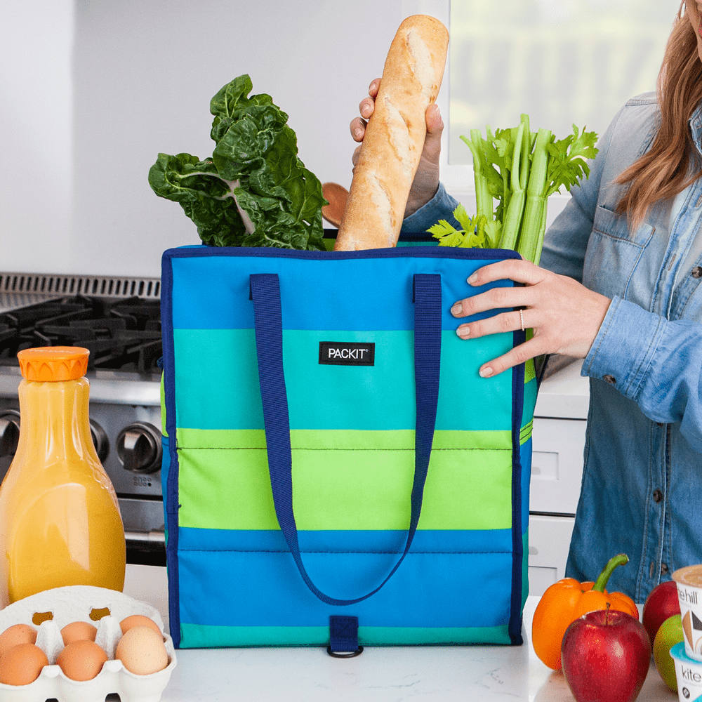 freezable-grocery-tote-g5 2020_Grocery_FreshStripe_Lifestyle_1_Hires.png