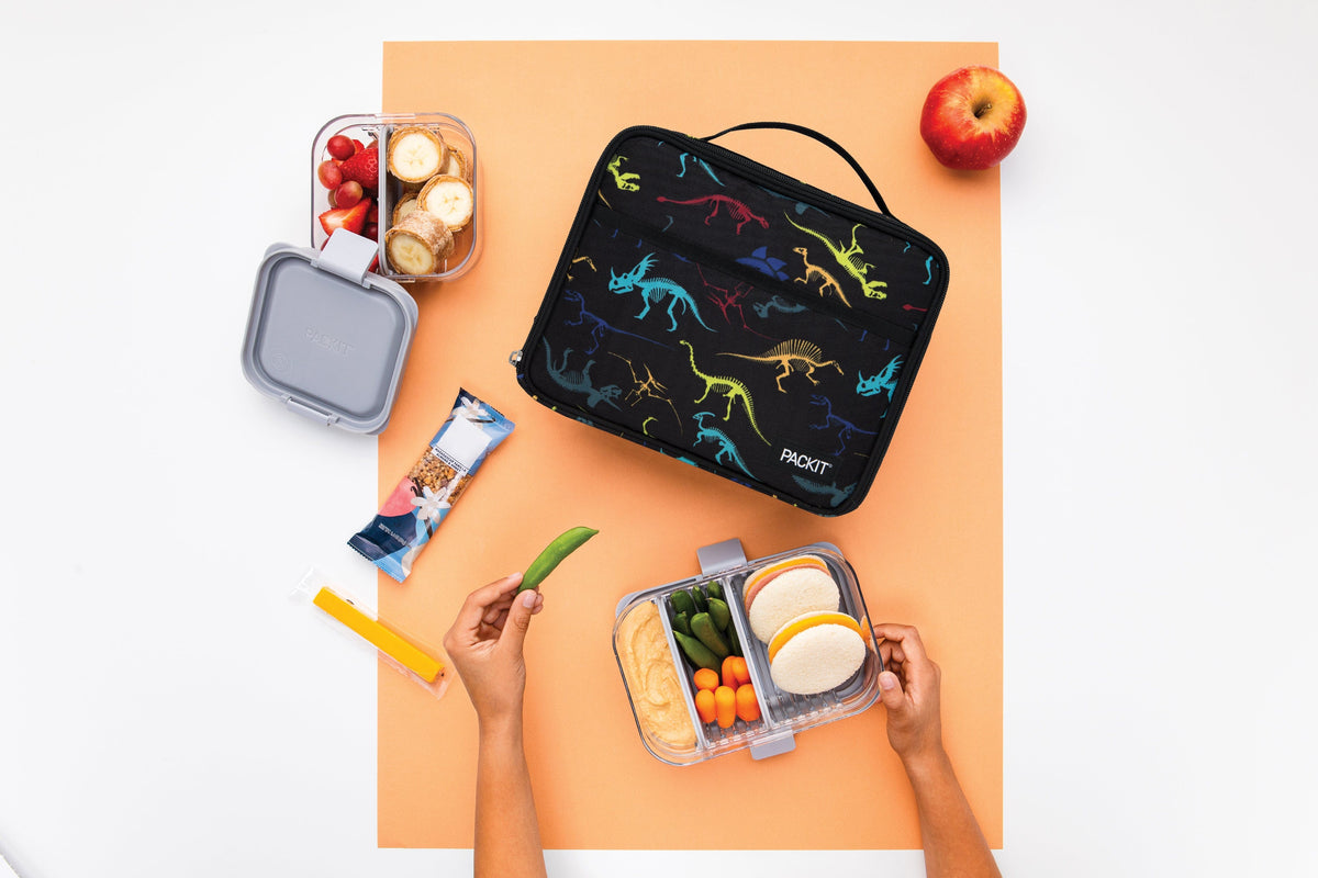 freezable-lunch-box-limited-edition-m8 2022_Lifestyle_Lunch-Box_Dino_Fossils_Hires.jpg